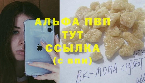 индика Алзамай