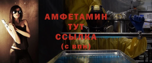 индика Алзамай