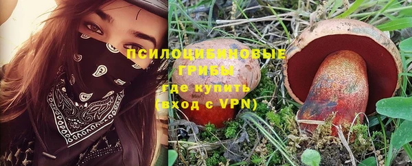 тгк Алексеевка