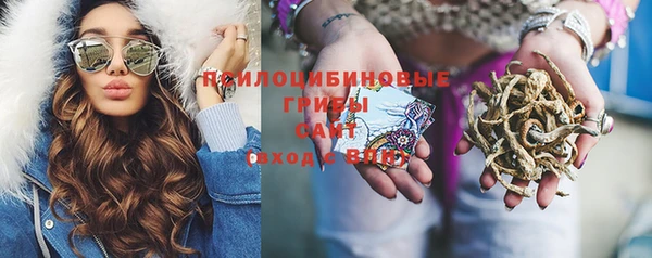 тгк Алексеевка