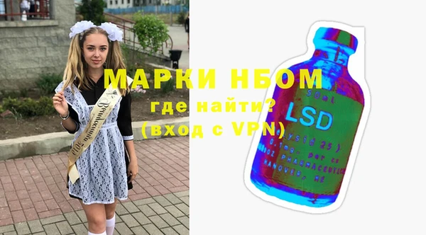 индика Алзамай